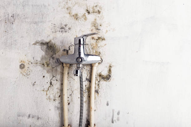Best Toxic Mold Removal  in Loganville, PA