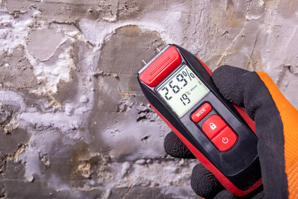 Best Water Damage Restoration  in Loganville, PA