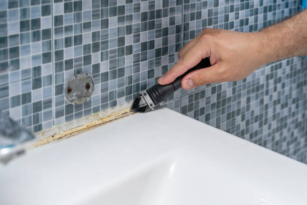 Best Mold Testing  in Loganville, PA