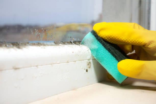 Best Office Mold Removal Services  in Loganville, PA