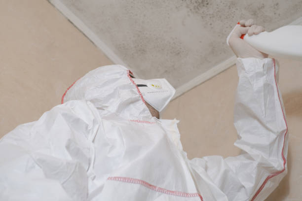 Trusted Loganville, PA Mold Removal Experts