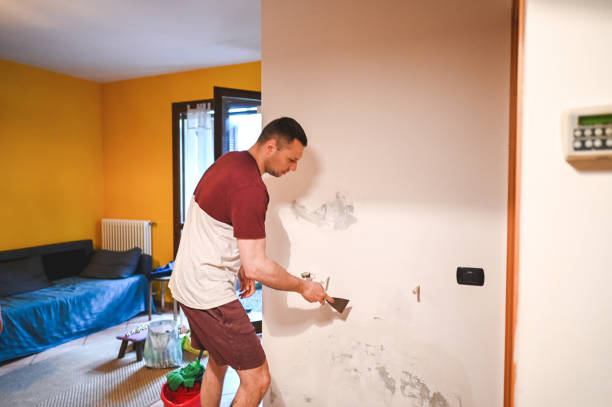 Best Commercial Mold Removal  in Loganville, PA