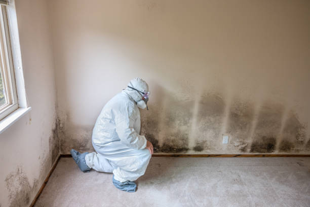 Best Emergency Mold Removal  in Loganville, PA