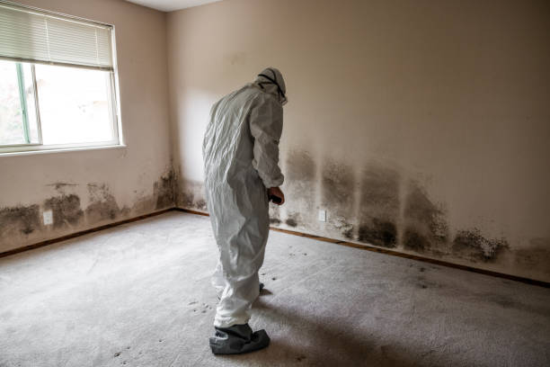 Crawl Space Mold Removal in Loganville, PA